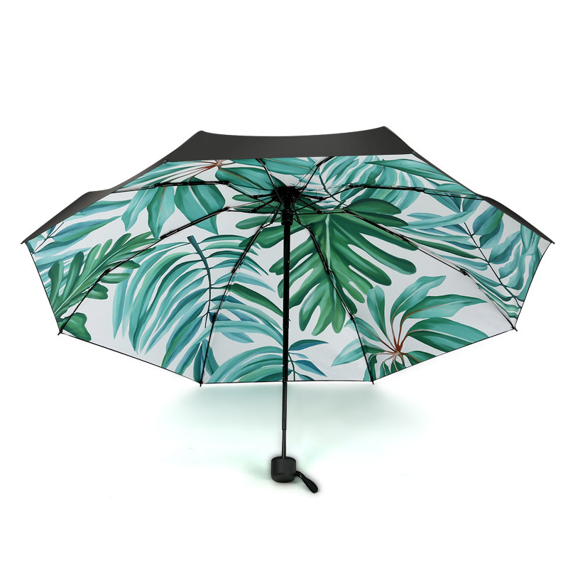 ��������̫��ɡ20180413