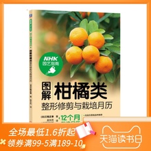 换盆整形修剪嫁接施肥疏枝疏果病虫害识别技术大全图书籍 病虫害诊断用药 橘子树栽培种植技术书 图解柑橘类整形修剪与栽培月历