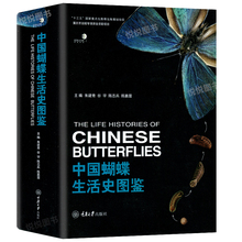 蝴蝶研究 蝴蝶科普书籍 生物生活记录 蝴蝶生活史记 科普读物 动物书籍 生物世界 中国蝴蝶生活史图鉴