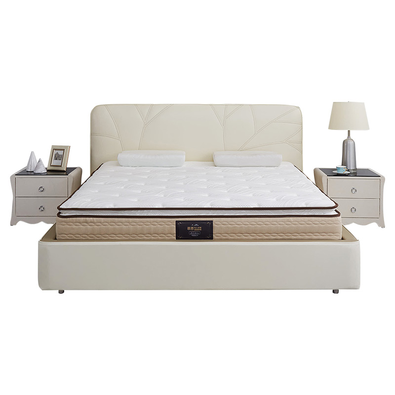 Ľ˼��������Ͳ�����齺��