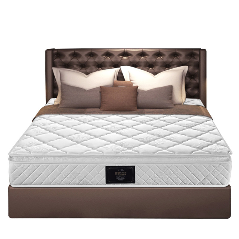 Ľ˼����Ͳ�����齺����