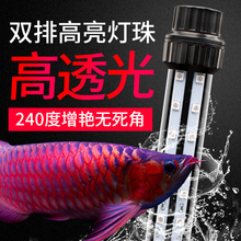 水族箱装 饰防水照明灯管 鱼缸灯LED潜水灯红金龙鱼灯专用水中增艳