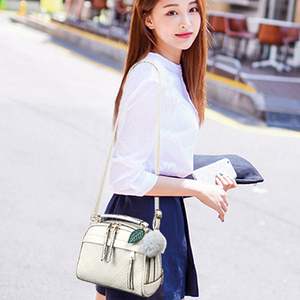 2017新款韩版女士单肩女包