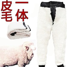 棉裤 子男加绒加厚真皮保暖皮毛一体羊皮裤 冬季中老年人羊毛裤