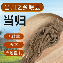 原产地新货甘肃岷县当归500克 无硫熏全当归片可配当归党参黄芪茶