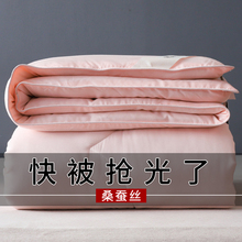 全棉蚕丝被100%桑蚕丝夏凉被夏季薄被子空调被春秋被冬被芯单双人