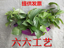 彩绘单色庭院垂钓式装 迷你小花盆 废旧轮胎创意改造