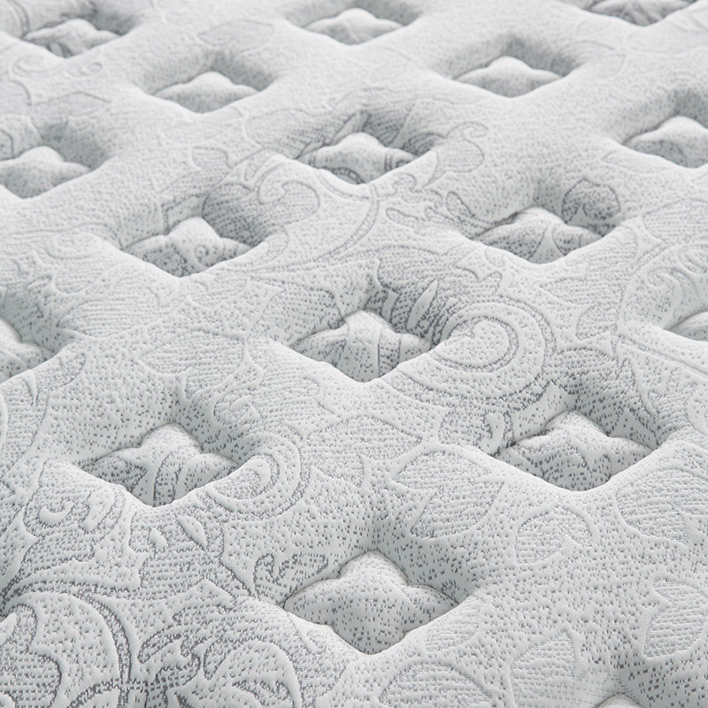 �˼ҼҾ��齺���� M0020