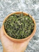 包邮 甘肃陇南杜仲叶子茶嫩芽杜仲雄花尾料叶子茶500g