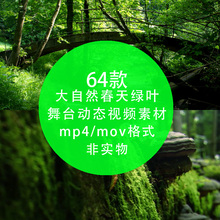 唯美清新树叶树林阳光空镜头环保春天夏天绿色叶 mp4动态视频素材