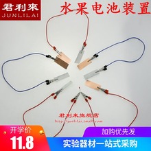 实验材料 材料 小学科学制作 可镭址⒌ 锌片铜片电极组装 水果电池