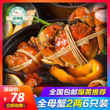 花雕熟醉全母香辣蟹螃蟹熟食即食非罐装 全母 醉蟹大闸蟹