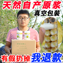 买2送蜜 蜂王浆纯正天然自产野生新鲜蜂皇浆500g春浆 蜂农直销