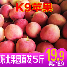 东北特产沙果K9应季小苹果花红苹果 当季新鲜孕妇水果5斤特价包邮