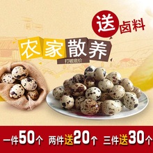 包邮 无添加宝宝孕妇辅食品 农家散养新鲜生鹌鹑蛋生鲜新鲜