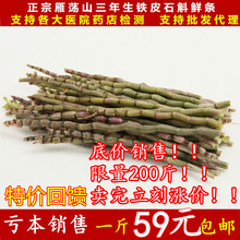 乐清雁荡山铁皮石斛鲜条500g 三年生石斛仿野生霍山新鲜铁皮枫斗
