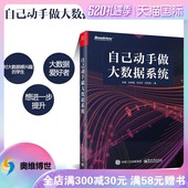 自己动手做大数据系统 数据分析 数据库 大数据时代统计分析 包邮 现货 分布式大数据系统开发视频教程书籍 4981251 大数据分析教材