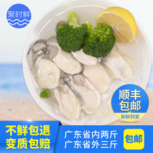 生蚝肉牡蛎肉即食鲜活生吃新鲜野生海鲜现剥去壳海蛎子肉500g