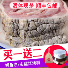 变质包赔 新鲜冷冻水产 送鳄鱼油 全皮鳄鱼肉2斤生鲜食材活体宰杀