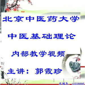 郭霞珍北京中医药大学中医基础理论内部教学视频65讲视频教程