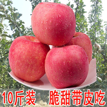 新鲜苹果水果原生态水晶红富士苹果10斤批发脆甜多汁吃非烟台苹果