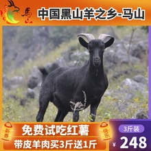 正宗广西马山黑山羊肉新鲜羊腿肉农家散养生羊腿羊黑羊肉3斤装