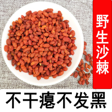 野生新疆沙棘果干350克乌什沙棘干果沙棘茶含沙棘油可打沙棘粉