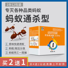 杀蚁饵剂蚂蚁药家用一窝端室内外灭蚁药除小红黑蚂蚁神器无毒厨房