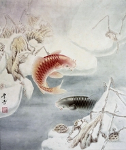 鱼稿12 电子 10白描 龚雪青 工笔画底稿