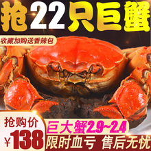22只大闸蟹螃蟹鲜活 六月黄大闸蟹螃蟹特大公母蟹 海鲜 水产 鲜活