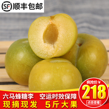 贵州六马蜂糖李安顺镇宁蜂糖李脆甜孕妇蜂蜜李子 新鲜现摘5斤包邮