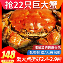 十月印象抢22只六月黄大闸蟹鲜活超大螃蟹鲜活香辣蟹薄壳肉蟹河蟹
