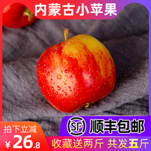 东北内蒙古应季新鲜123小苹果水果沙果海棠果当季红果5斤顺丰包邮