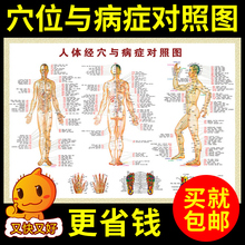 中医养生针灸艾灸穴位图人体穴位图大挂图解全身经络家用按摩高清