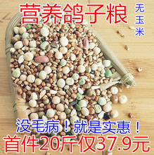 新鸽子粮无玉米鸽粮20斤营养饲料鸟食信鸽观赏鸽肉鸽幼鸽成鸽粮