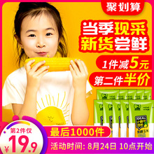 东北农嫂玉米甜糯粘玉米柏羲真空新鲜果即食玉米10支黏玉米粒