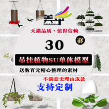 SU模型吊挂植物花卉吊兰室内阳台盆景绿化景观园林草图大师su素材