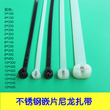 不锈钢扣扎带尼龙嵌片扎带船用扎带金属卡扣扎带(100条/包)