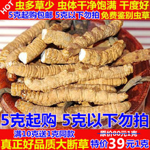 5克起购 正宗自然虫草非高海拔西藏那曲冬虫夏草 包邮 大断草 新草