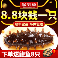 康悦堂即食海参大连野生辽刺参500g鲜活特价海渗礼盒非干货单个装