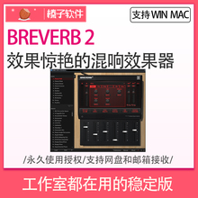 支持各大宿主 WIN MAC BREVERB AAX效果器 纯正混响 插件 VST