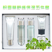 女补水乳液保湿 五件套修护敏感肌护肤品套装 积雪草舒缓保湿 精华霜