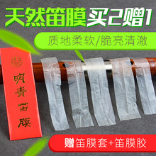 专业笛子膜配件 初学演奏竹笛膜 天然芦苇笛膜 特制笛膜