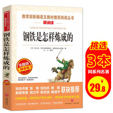 初中正版适合五六年级学生初中生看 钢铁是怎么样练成 小学生3 课外书 爱阅读系列钢铁是怎样炼成 6年级女孩名著钢铁是怎么练成