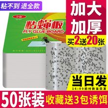 灭粘苍蝇板杀手蚊子苍蝇贴纸强力粘蝇纸灭蝇捕蝇器神器家用一扫光