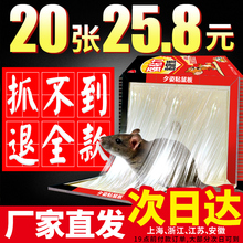 粘老鼠贴yao胶颗粒药粘鼠板强力捕鼠灭鼠器神器克星正品家用驱鼠