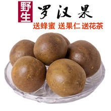 50mm广西特产清莹茶散装 精选野生罗汉果干果50个果径35 泡茶泡水