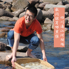 椴木野生白木耳无硫银耳干货孕妇特级 四川正宗通江银耳150克
