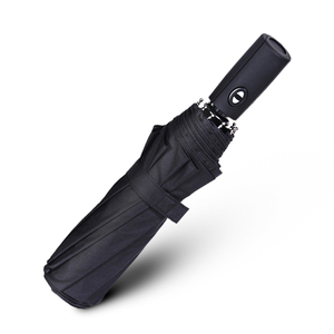 雨景十骨全自动雨伞