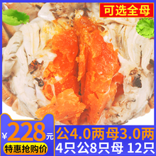仲秋大闸蟹公4两母3两螃蟹鲜活大闸蟹特大公蟹4.0两全母年货团购